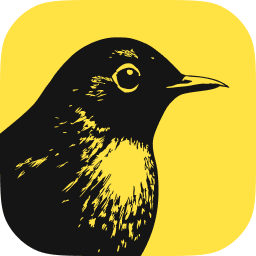 Bïrch (Formerly Revealbot) logo